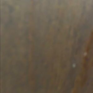 Meet your Posher, Bruce